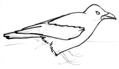 399x231 How To Draw A Crow