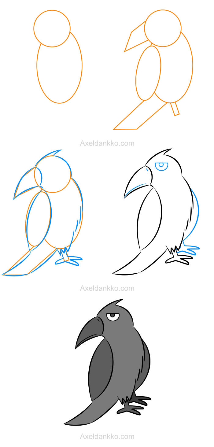 700x1462 How To Draw A Crow
