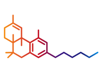 350x250 Learn Everything You Need To Know About Cannabis