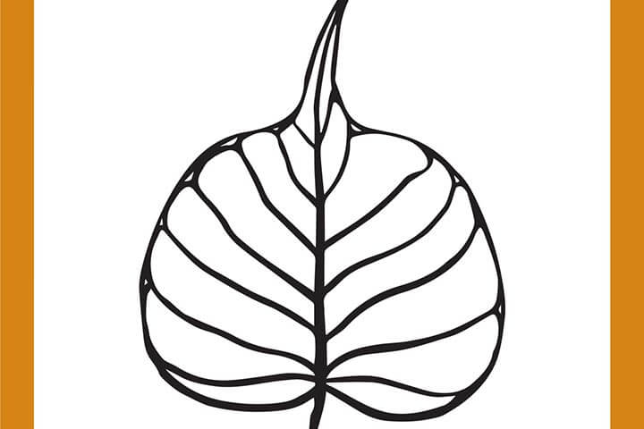 720x480 Articles Shambhala