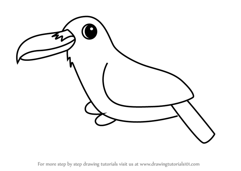 800x567 Learn How To Draw A Raven Bird For Kids