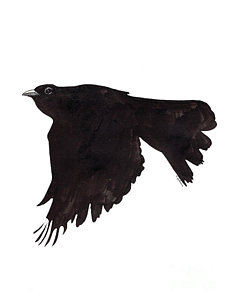 230x300 quoth the raven art pixels