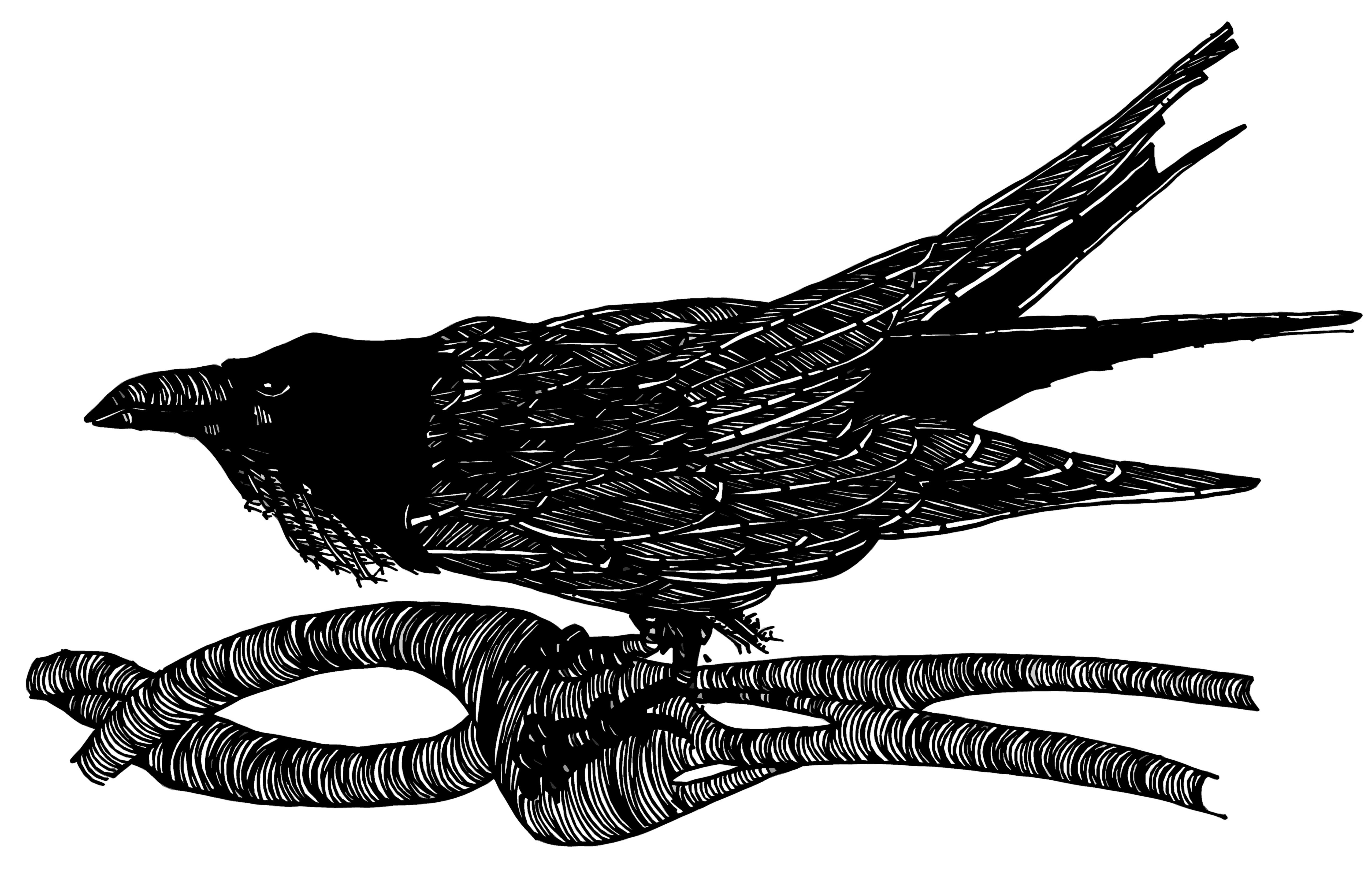 5119x3317 The Raven Short Story Contest