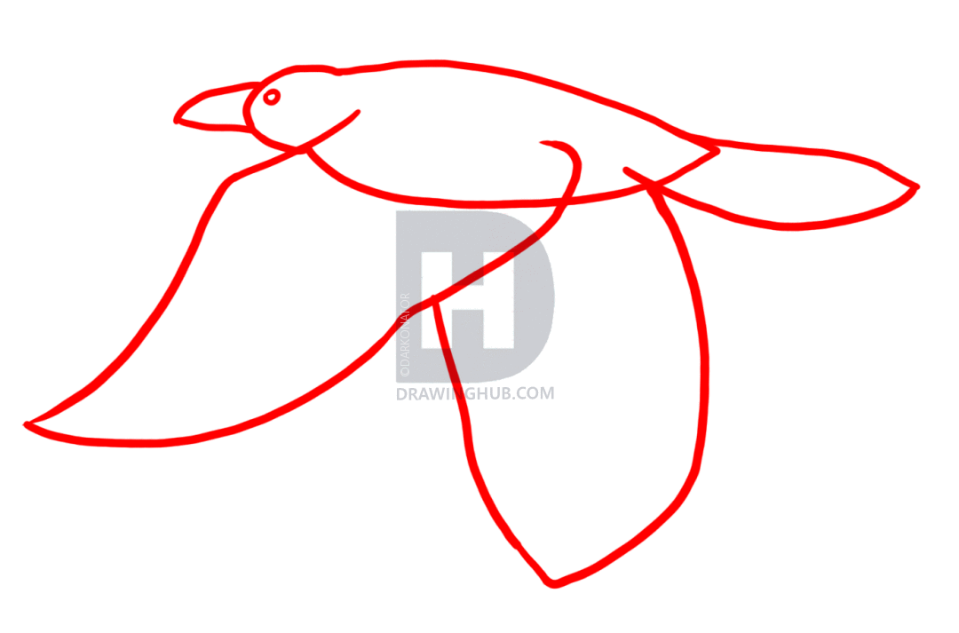 1080x713 How To Draw Ravens, Step