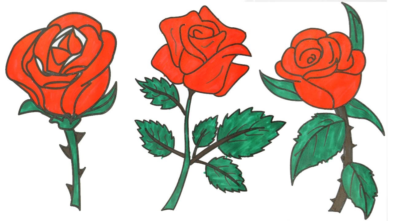 1280x720 How To Draw A Rose Rose Coloring Pages