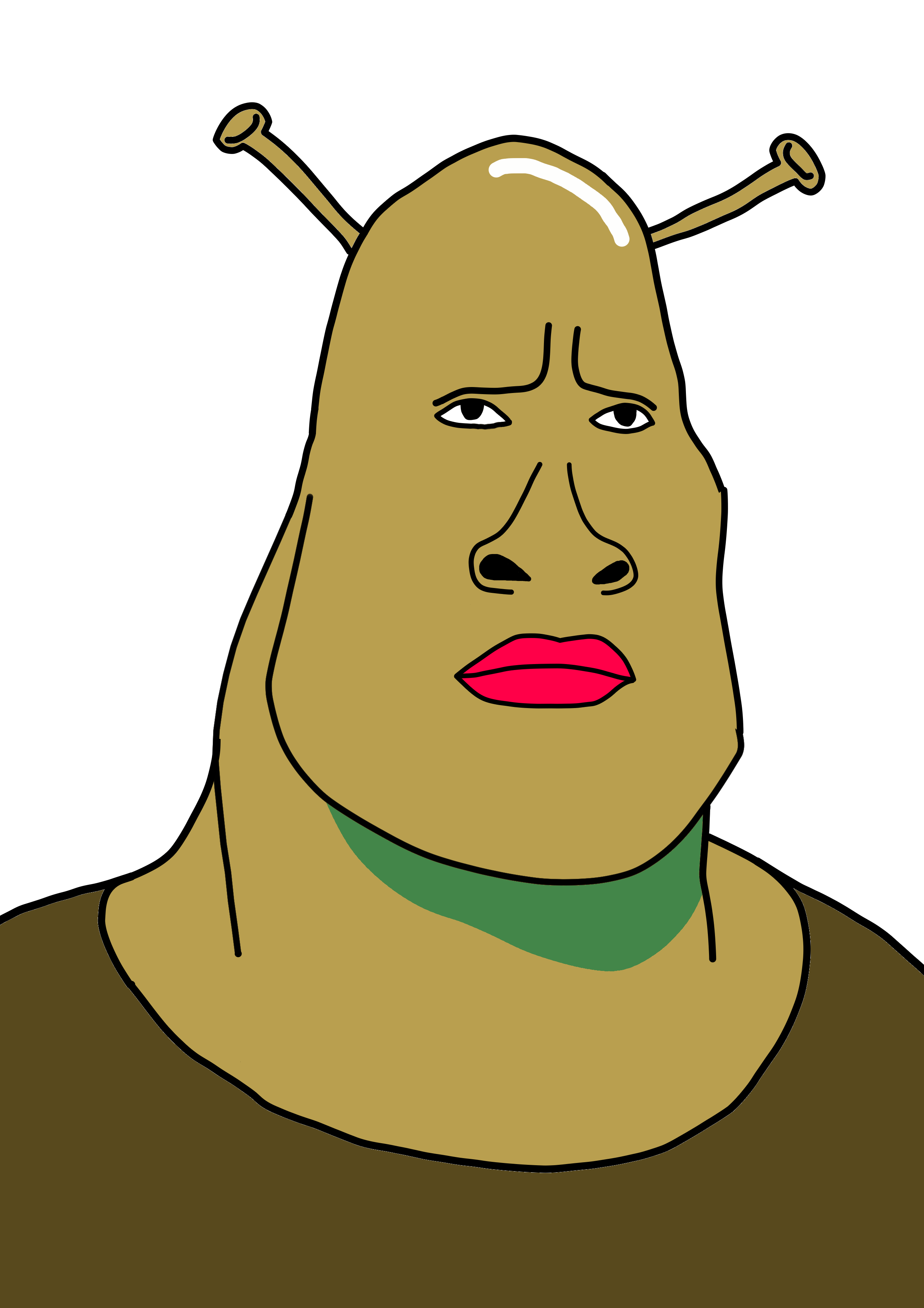 2480x3508 I Drew The Rock As Shrek I Am Very New