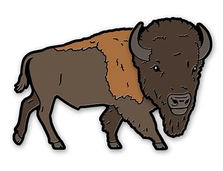 458x353 souvenirs theodore roosevelt nature history association