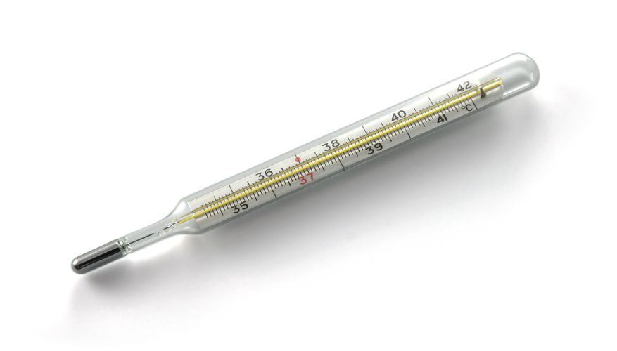 877x500 Different Parts Of A Mercury Thermometer Sciencing