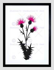 176x225 Painting Illustration Drawing Thistle Flower Scotland Framed Print