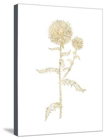 338x450 thistle golden white stretched canvas print