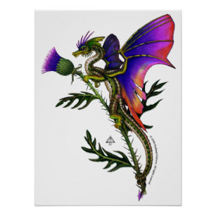 307x307 Thistle Drawing Gifts On Zazzle Au