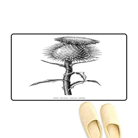 466x466 Doormatmilk Thistle Plant Botanical Hand Draw Vintage