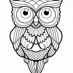 300x300 Simple Owl Outline Drawing Archives