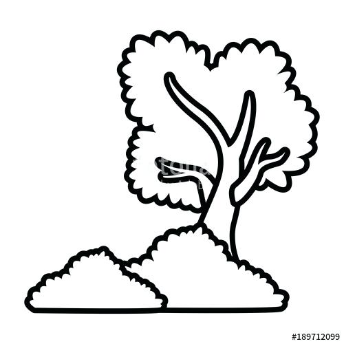 500x500 Drawings Of Bushes Image Result For How To Draw Realistic Trees