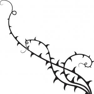 300x300 Seamless Pattern With Thorn Bush Vector Shopatcloth