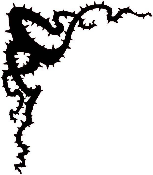 623x711 Thorn Bush Drawing