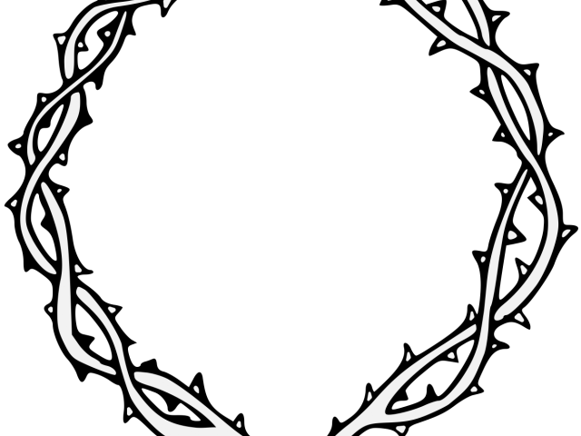 640x480 Hd Thorns Clipart Branch