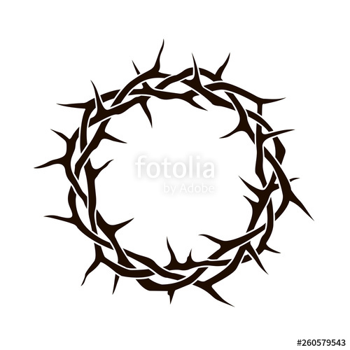 500x500 Black Crown Of Thorns Image Isolated On White Background Stock