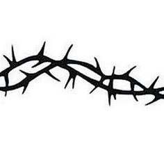 236x236 Best Thorns Images Grape Vines, Vines, Bramble