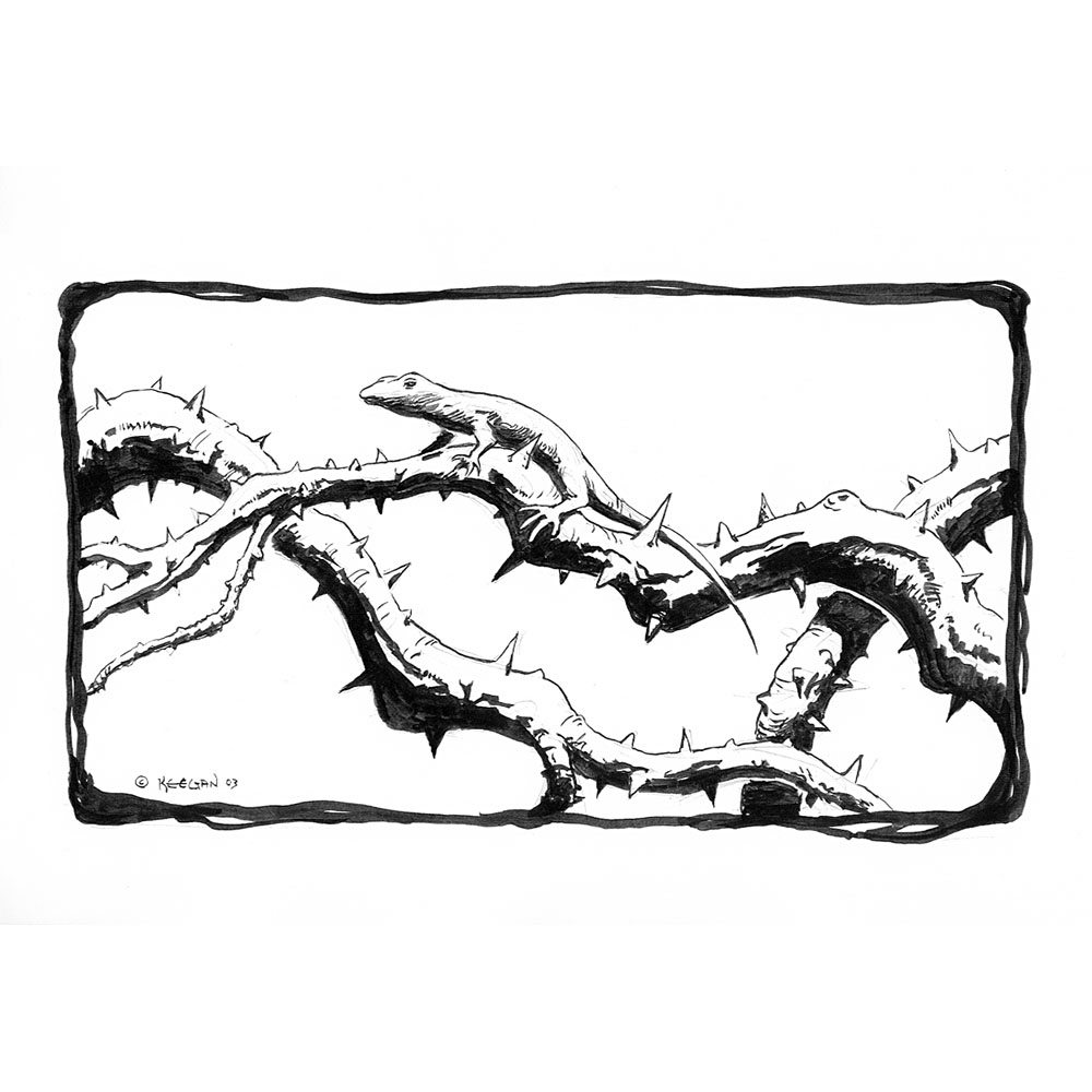 1000x1000 Vine Drawings With Thorns