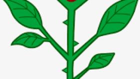 280x158 Easy To Draw Rose With Thorns How