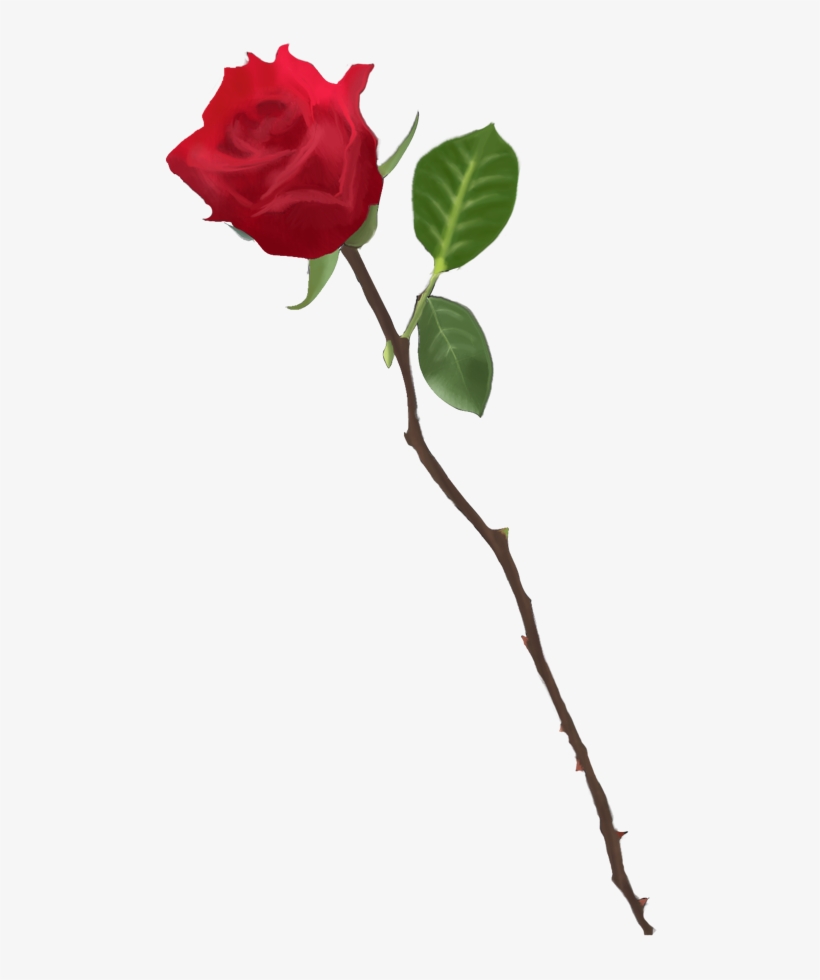 820x980 Long Stem Rose Drawing At Getdrawings