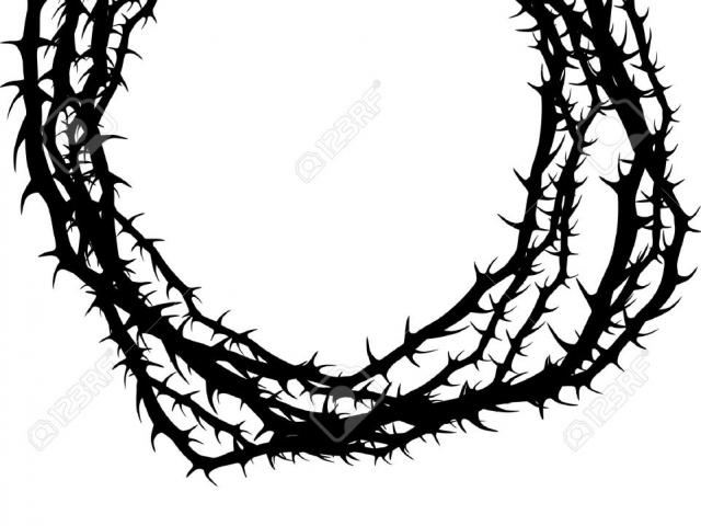 640x480 Thorns Clipart