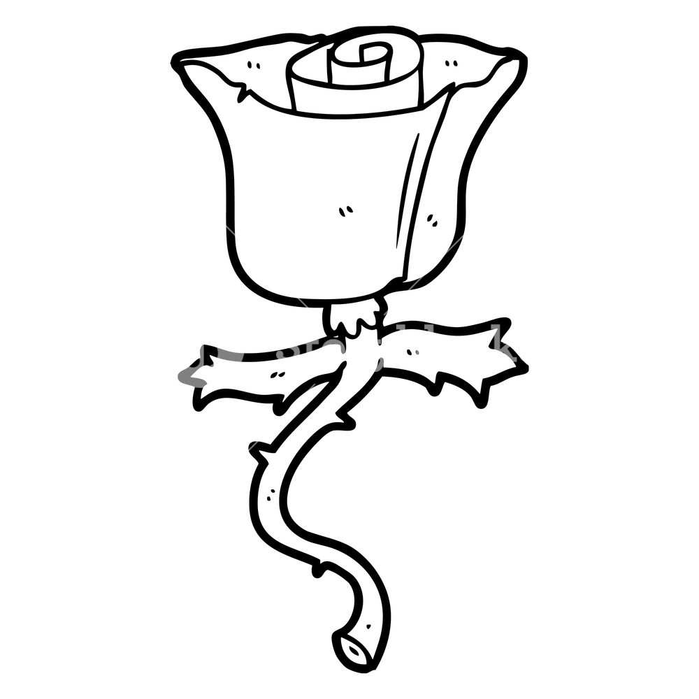 1000x1000 Cartoon Rose With Thorns Royalty Free Stock Image