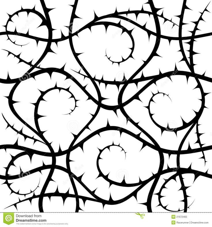 736x786 Collection Of Free Brier Clipart Thorns Download On Ui Ex