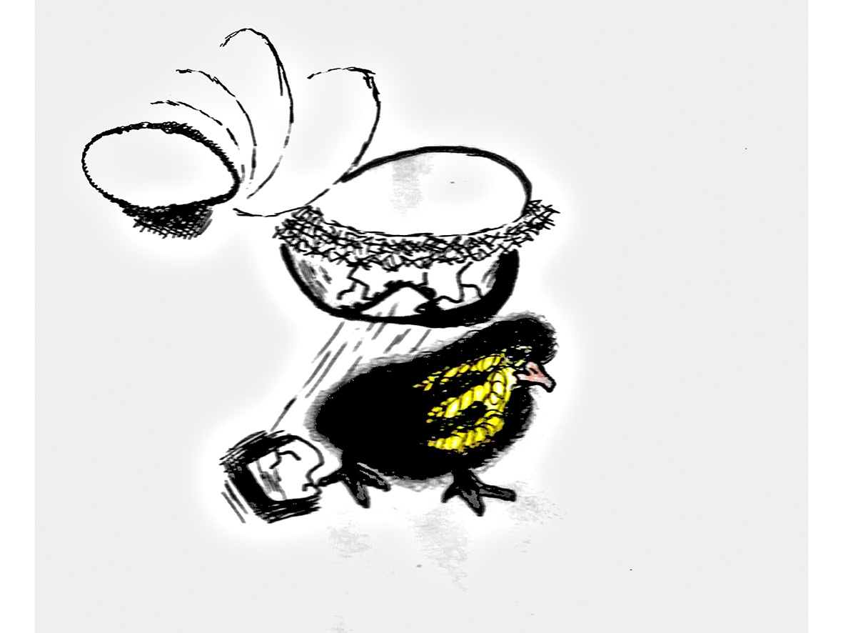 1181x886 Week Image Documentation On Behance