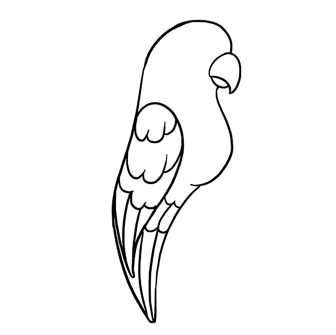 680x678 How To Draw A Parrot