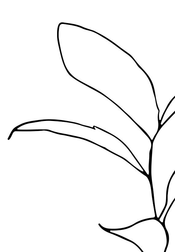 570x821 Set Of Botanical Drawings, Botanical Art Print Set, Minimal