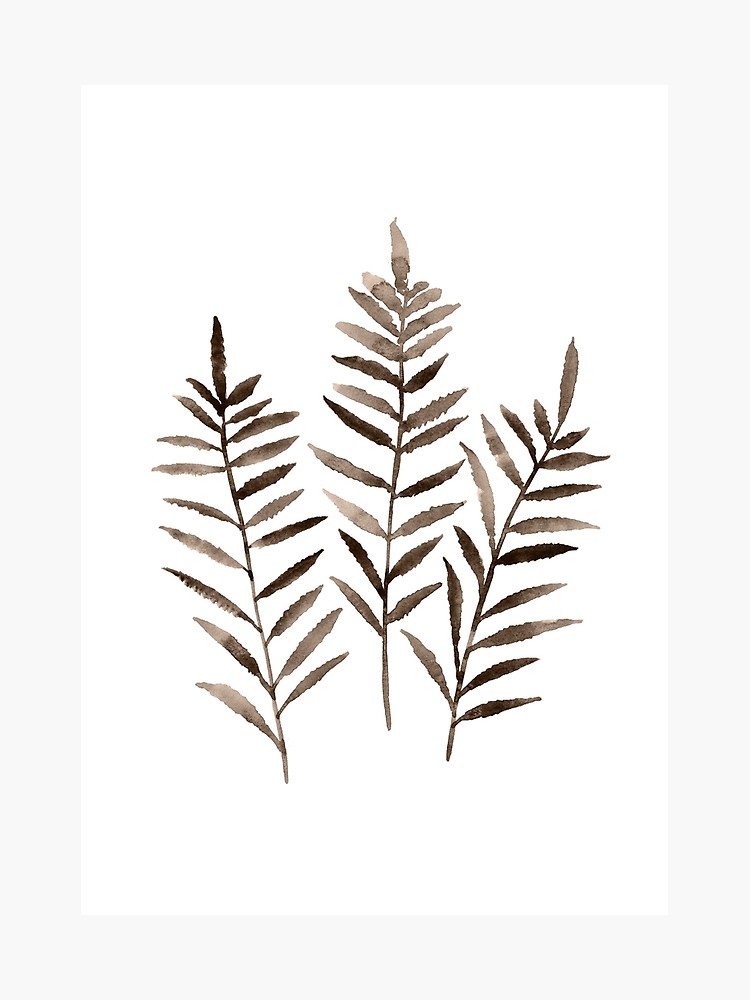 750x1000 Three Leaves Fern Watercolor Painting Botanical Poster Drawing