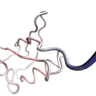 320x320 Three Drawing Method Of Ubiquitin Molecular Structure As Cpk, Tube