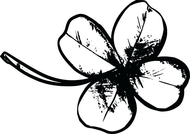 615x434 Four Leaf Clover Drawing Drawing Black And White Four Leaf Clover