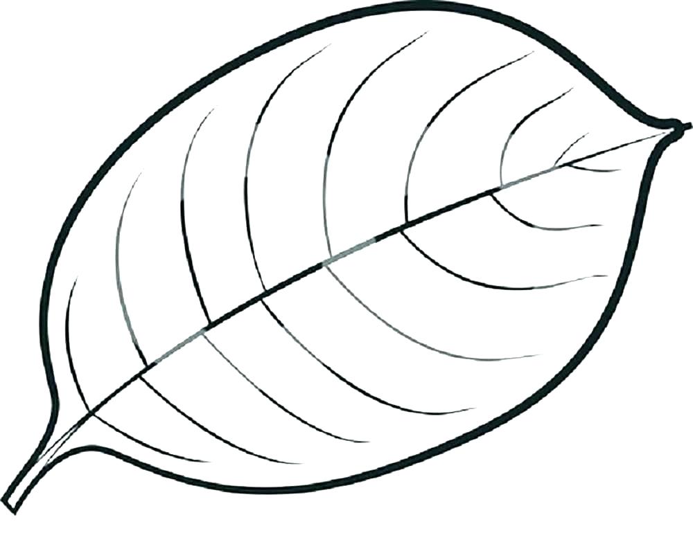 1000x783 Three Leaf Clover Coloring