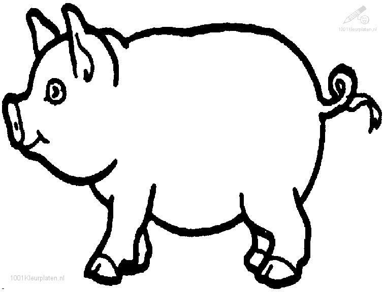 756x576 Pig Drawings Coloringpages Animals Colori The Three Little Pigs