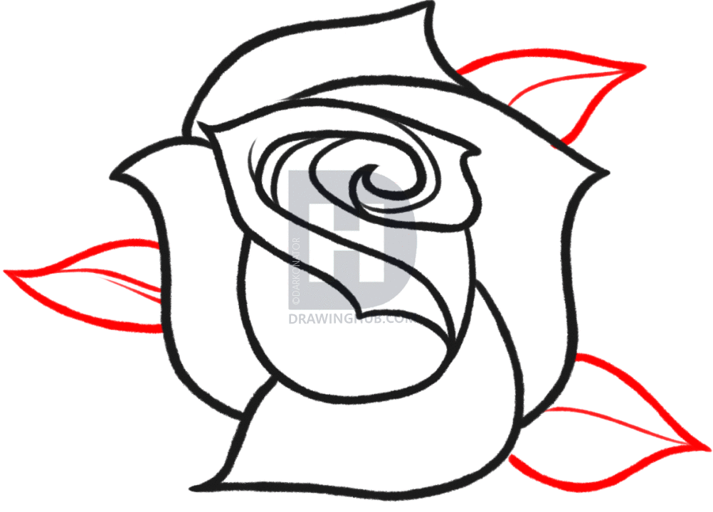 1002x720 How To Sketch A Rose, Step