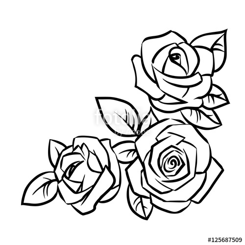 500x500 Three Roses With Leaves On A White Background Vector Illustration