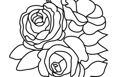 420x270 Flower Coloring Pages Three Roses Leaves Rose Diywordpress Flower