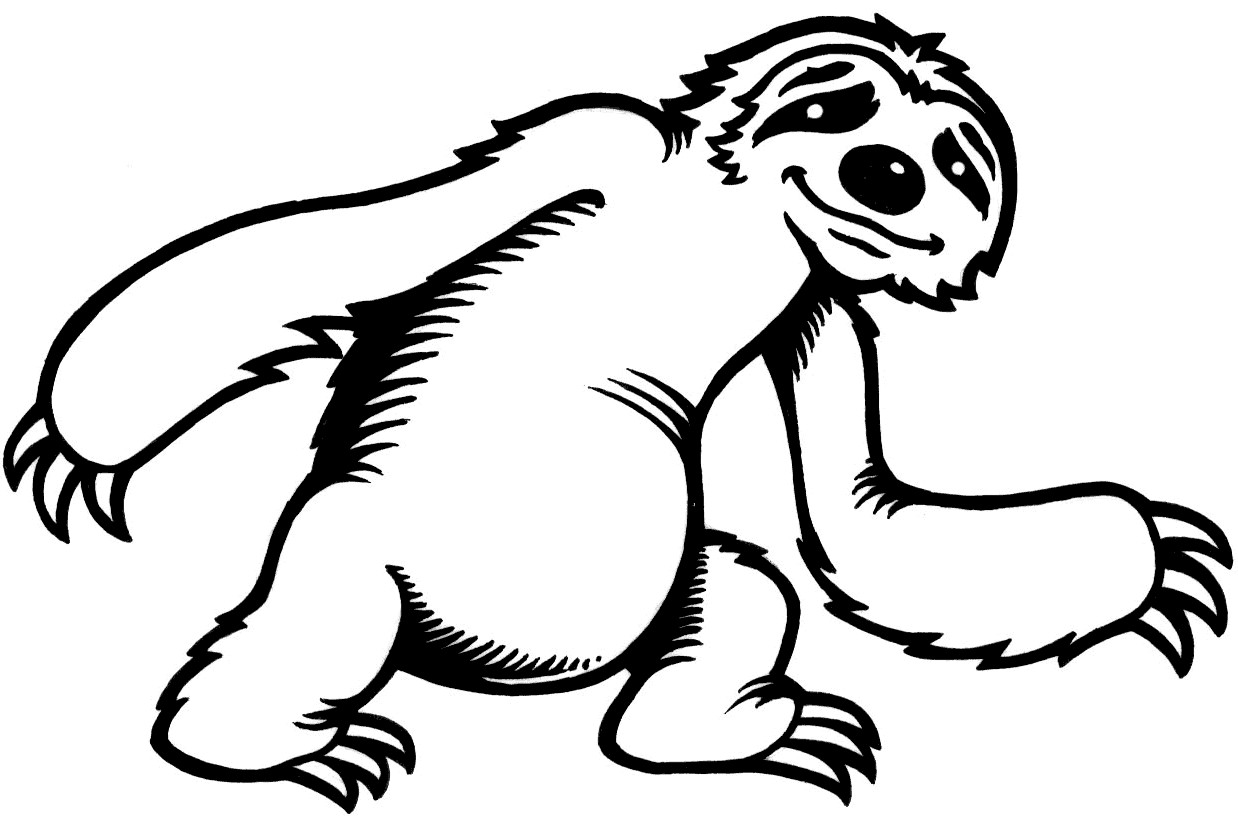 Three Toed Sloth Drawing