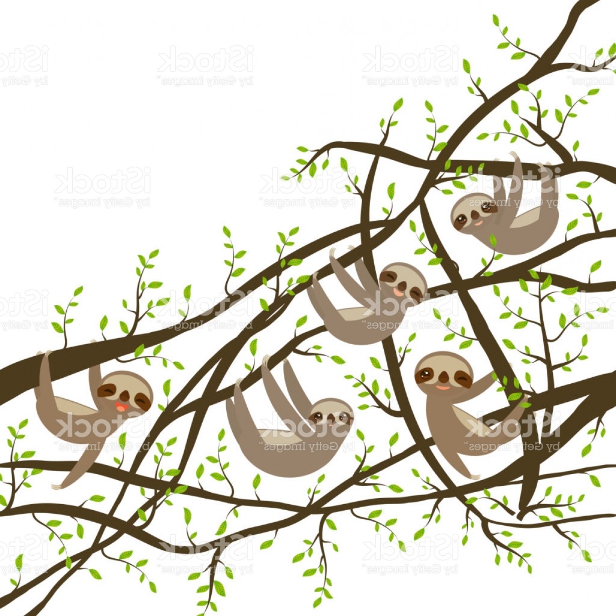 1228x1228 Card Banner Template With Funny And Cute Smiling Three Toed Sloth