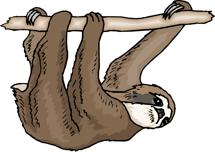 750x531 Collection Of Free Sloth Drawing Clip Art Download On Ui Ex