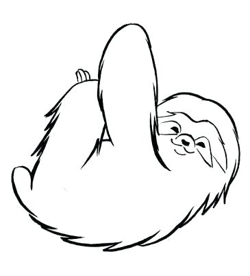 365x402 Drawings Of Sloths Sloths Sloth Drawings Cute