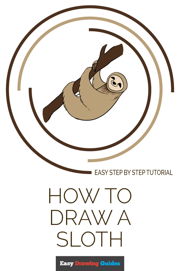 600x900 How To Draw A Sloth