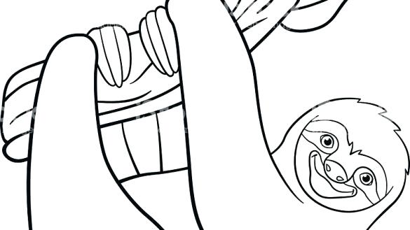 585x329 Sloth Coloring