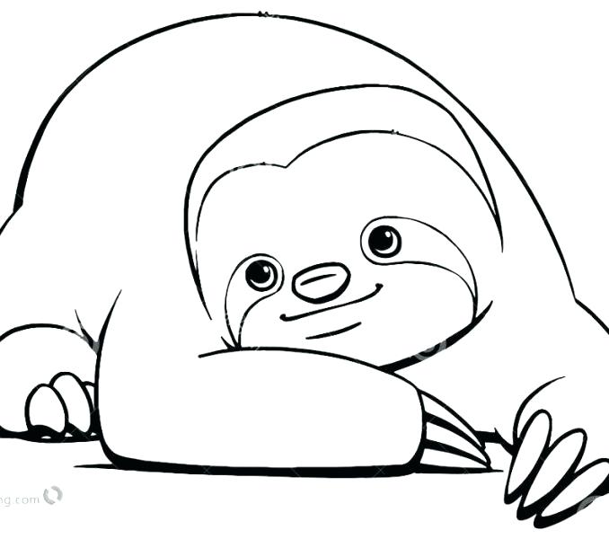 678x600 Sloth Coloring
