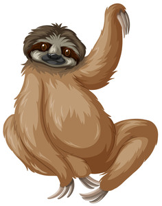 236x300 Three Toed Sloth Royalty Free Illustrations