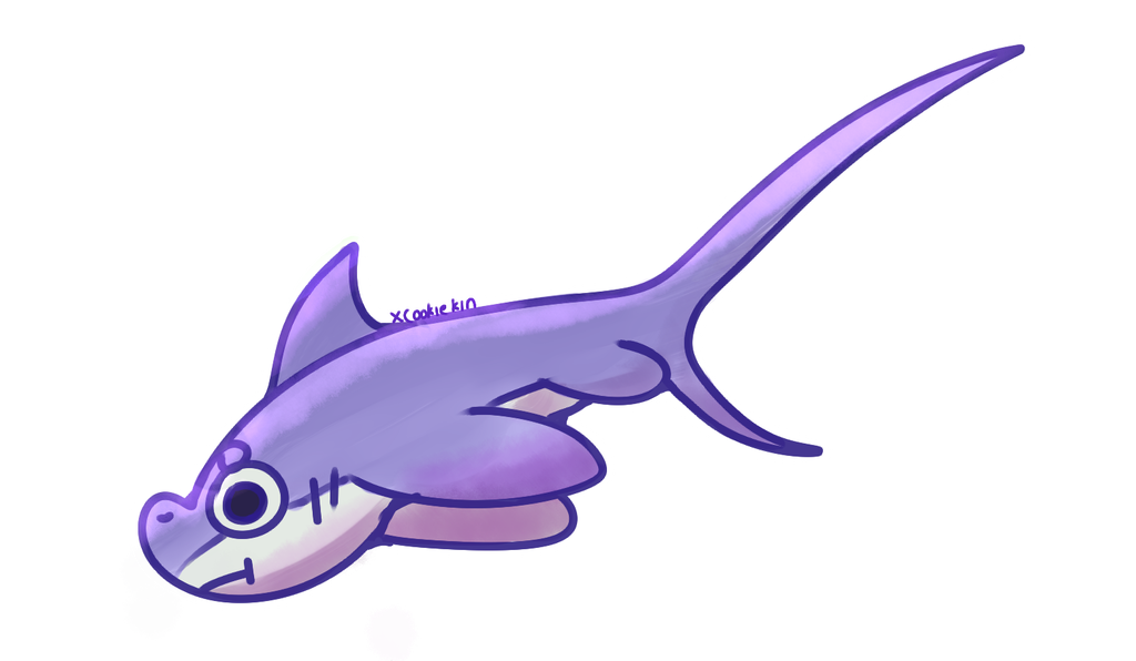 1024x596 Its Ya Boy Thresher Shark