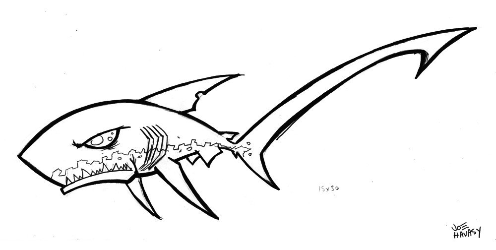 1000x504 Thresher Shark Drawings